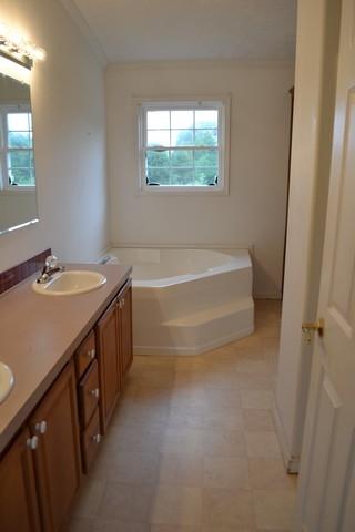 1528 Merriman Way Road Moneta, VA 24121 - Photo 7 of 21 master bath