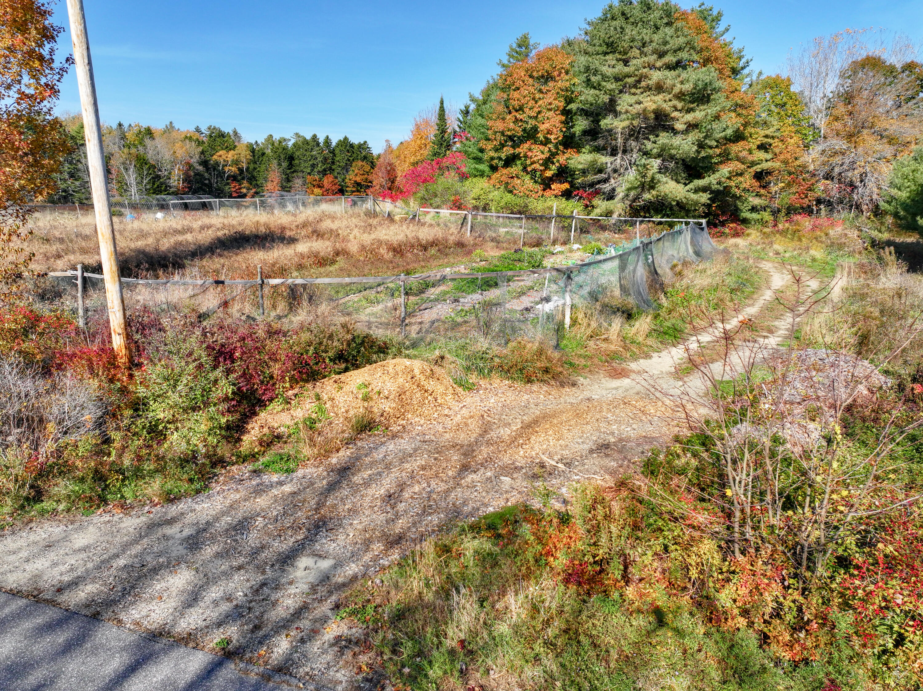 Lot 45-1 Allen Point Road Harpswell, ME 04079 - Photo 22 of 63 22) Fall, 282 Allen Point Rd, Harpswell