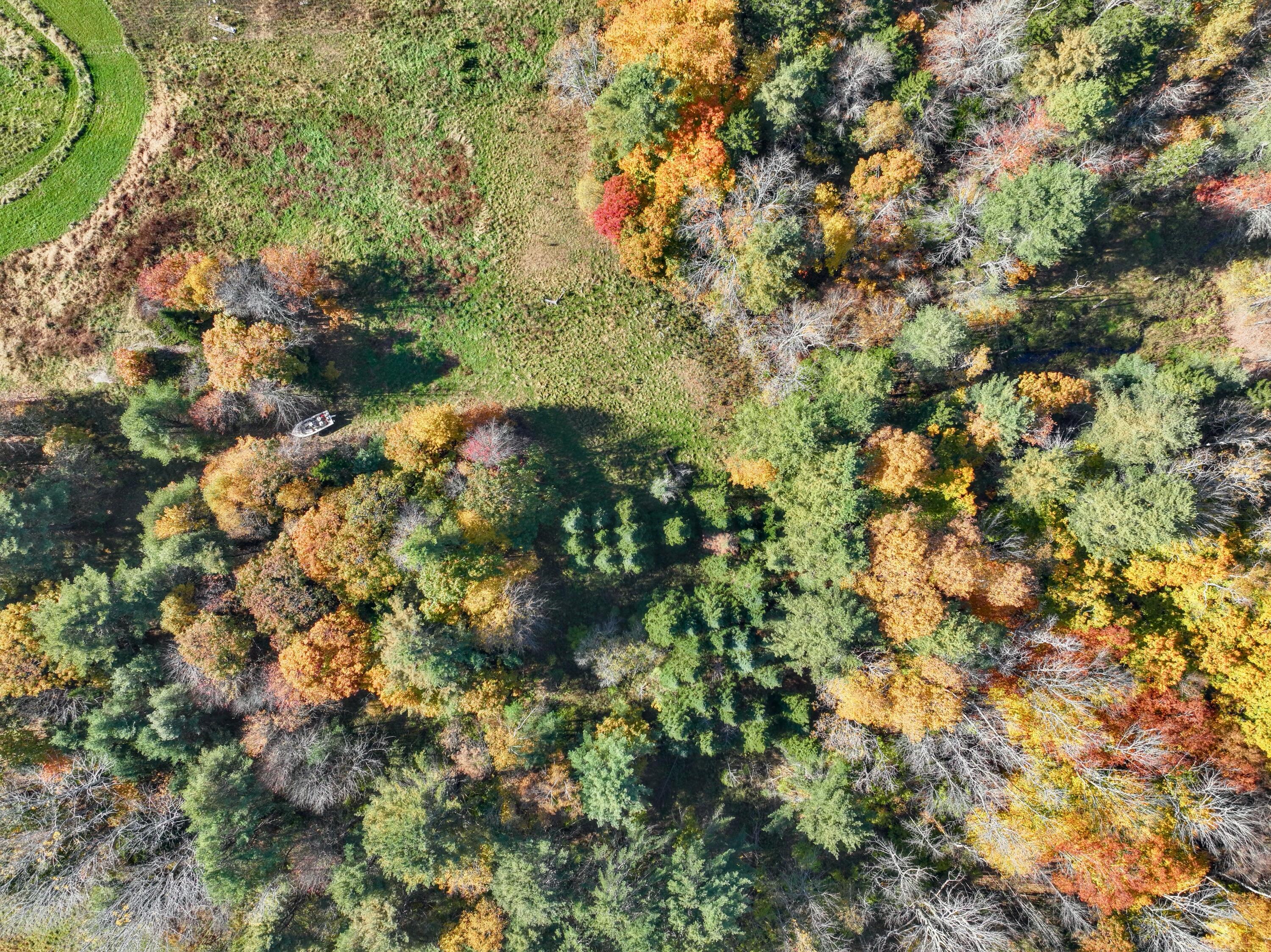 Lot 45-1 Allen Point Road Harpswell, ME 04079 - Photo 27 of 63 27) Fall, 282 Allen Point Rd, Harpswell