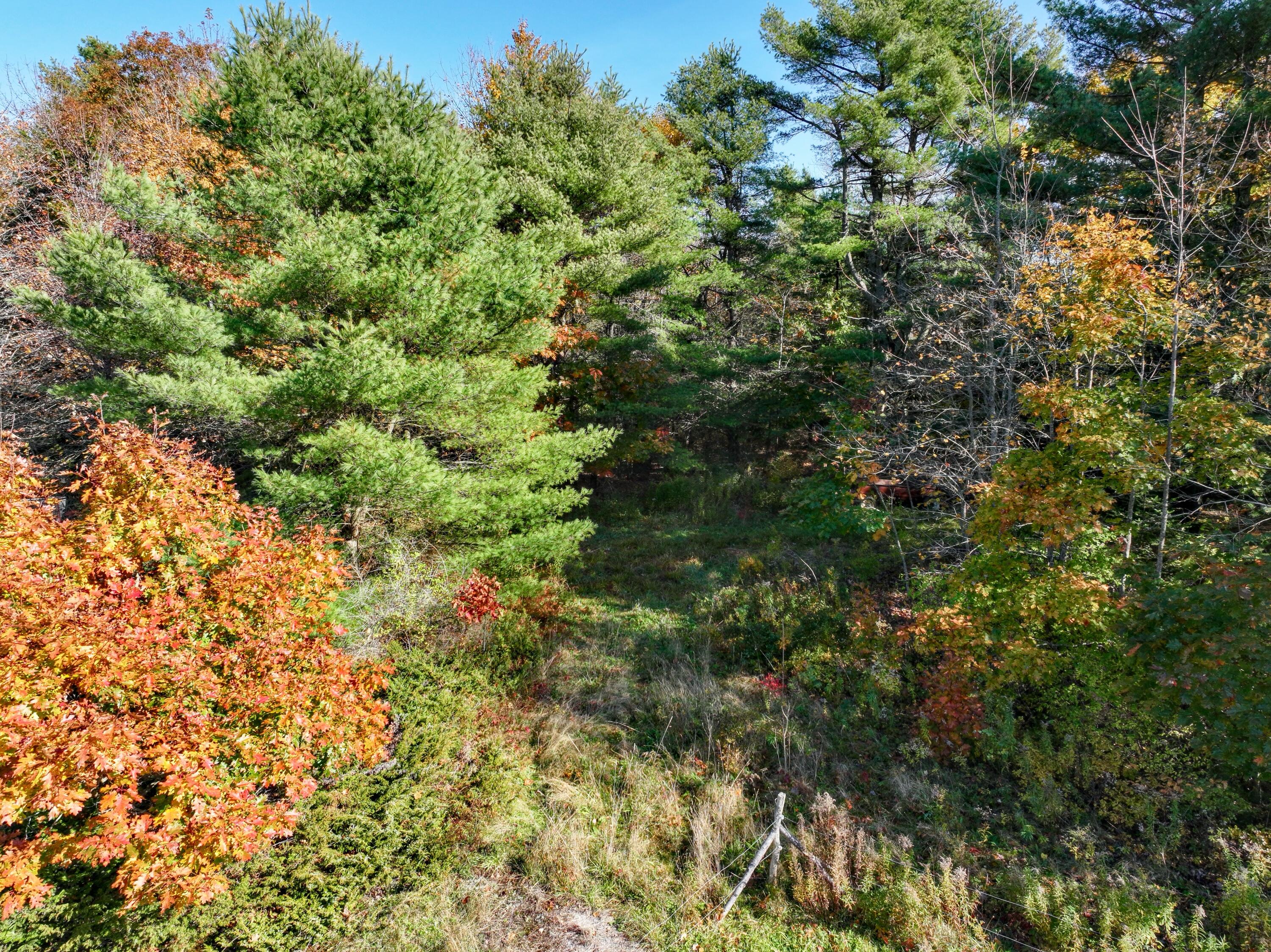 Lot 45-1 Allen Point Road Harpswell, ME 04079 - Photo 30 of 63 32) Fall, 282 Allen Point Rd, Harpswell