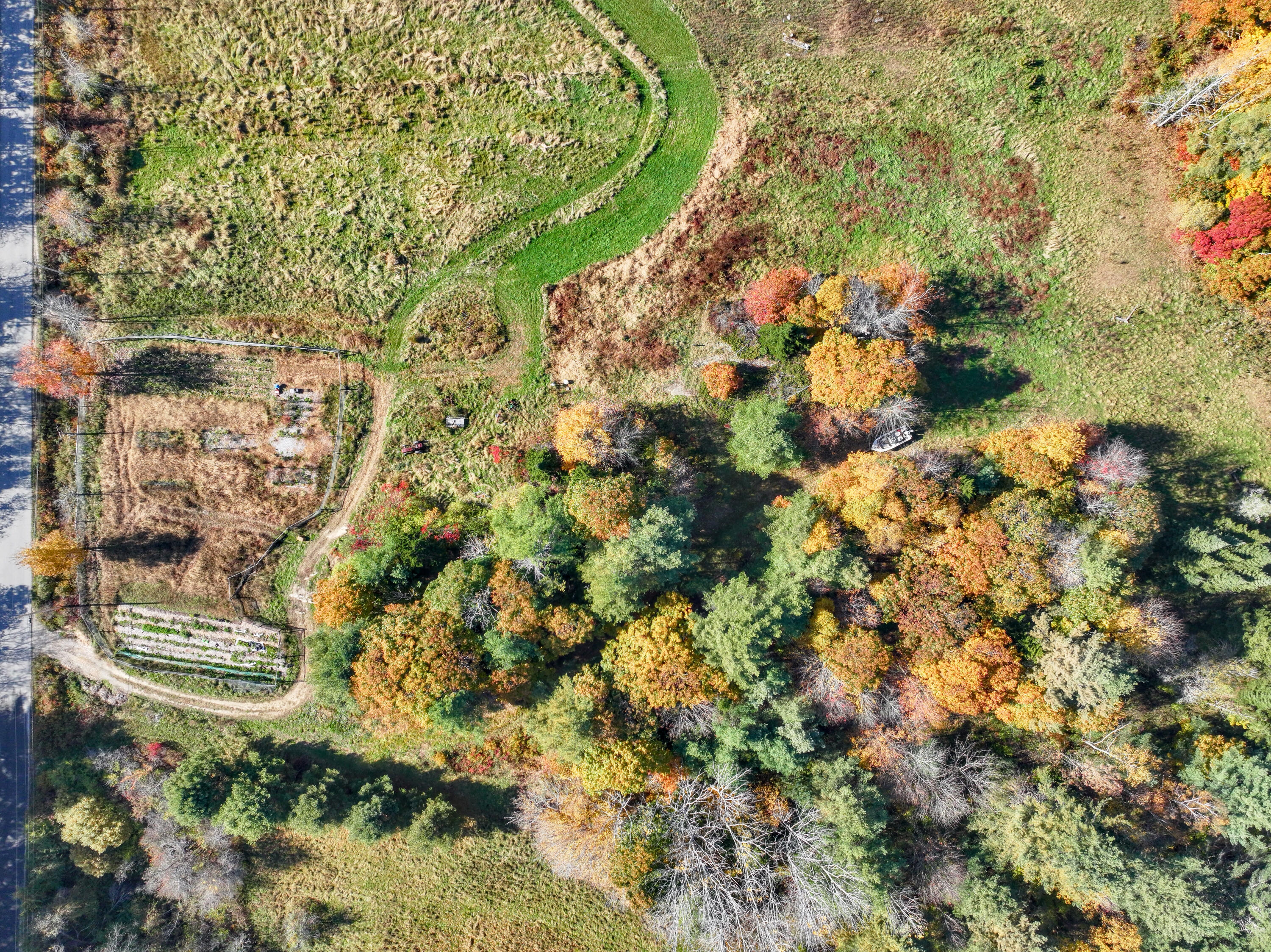 Lot 45-1 Allen Point Road Harpswell, ME 04079 - Photo 7 of 63 4) Fall, 282 Allen Point Rd, Harpswell L