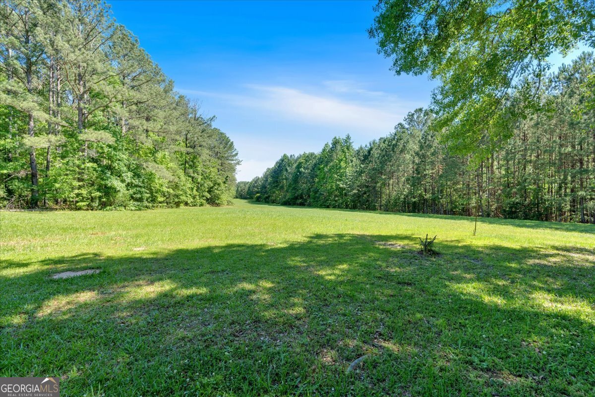 179 Hogan Road Brooks, GA 30205 - Photo 43 of 64