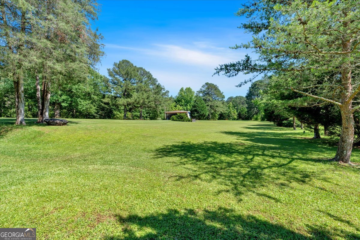 179 Hogan Road Brooks, GA 30205 - Photo 47 of 64