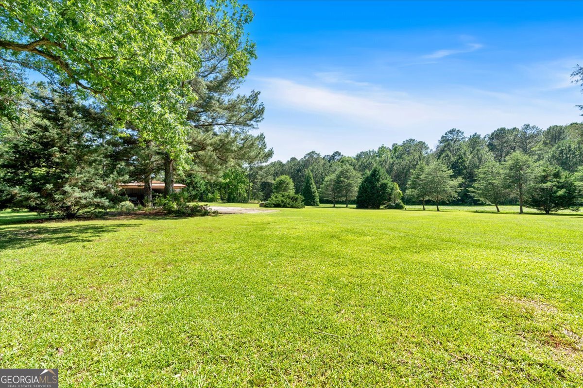 179 Hogan Road Brooks, GA 30205 - Photo 51 of 64