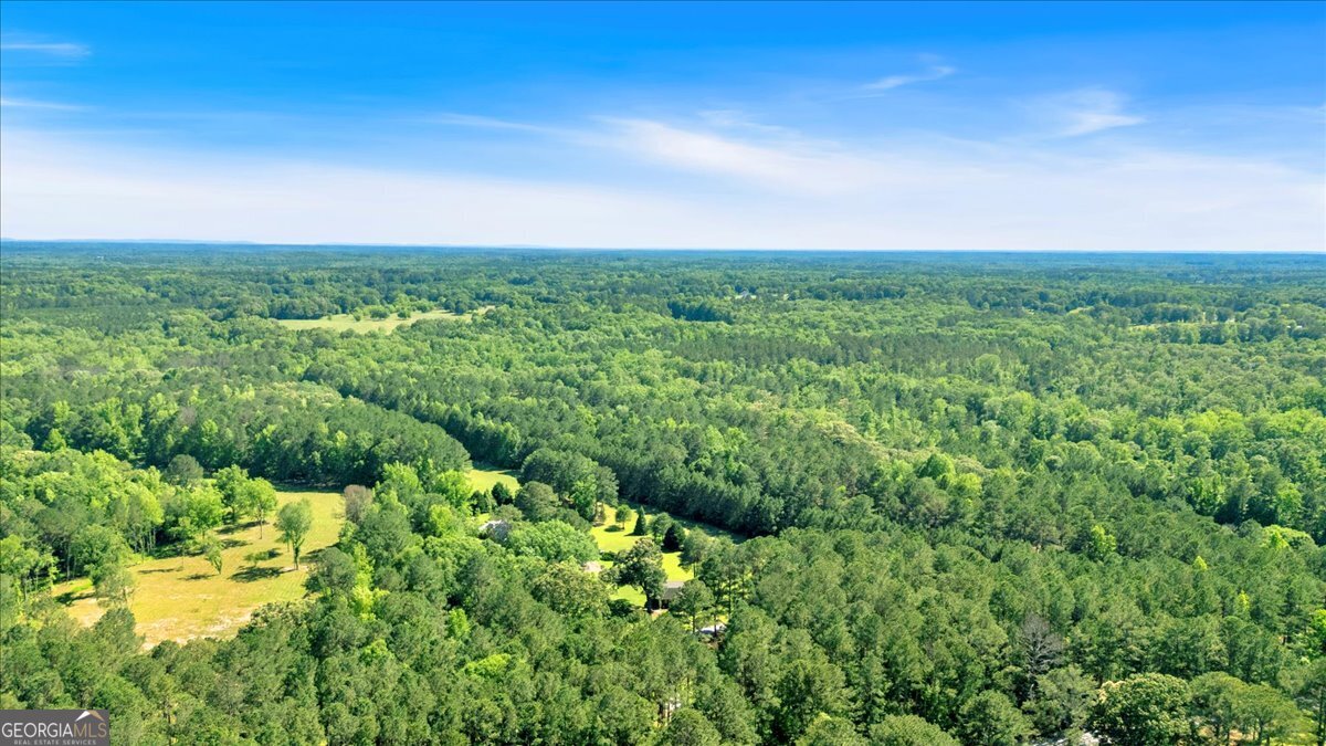 179 Hogan Road Brooks, GA 30205 - Photo 52 of 64