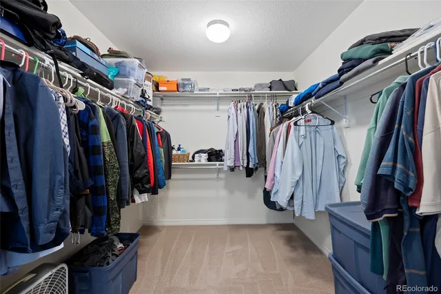 a view of walk in closet with clothes and shoes