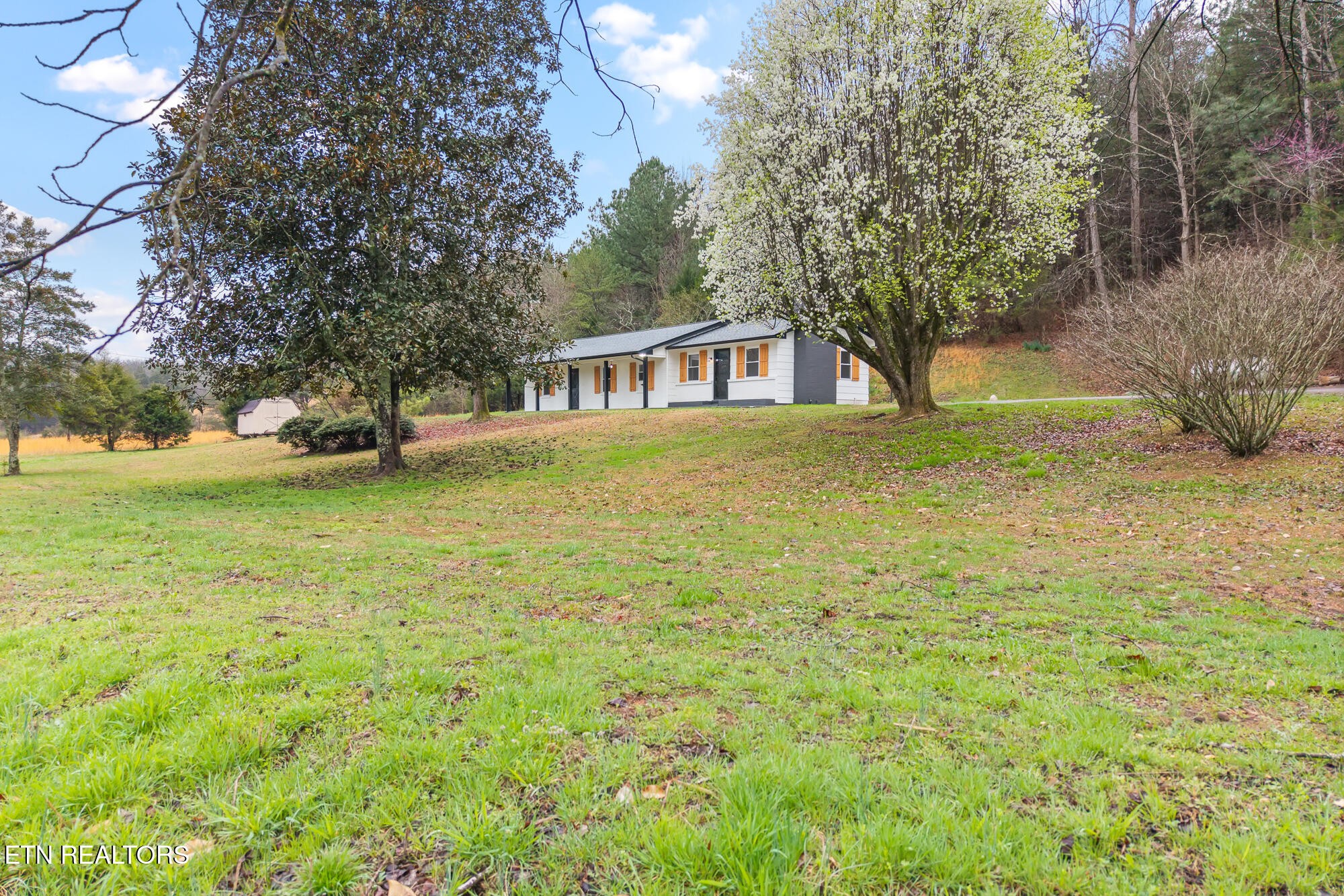 144 Cagle Road Tellico Plains, TN 37385 - Photo 9 of 34
