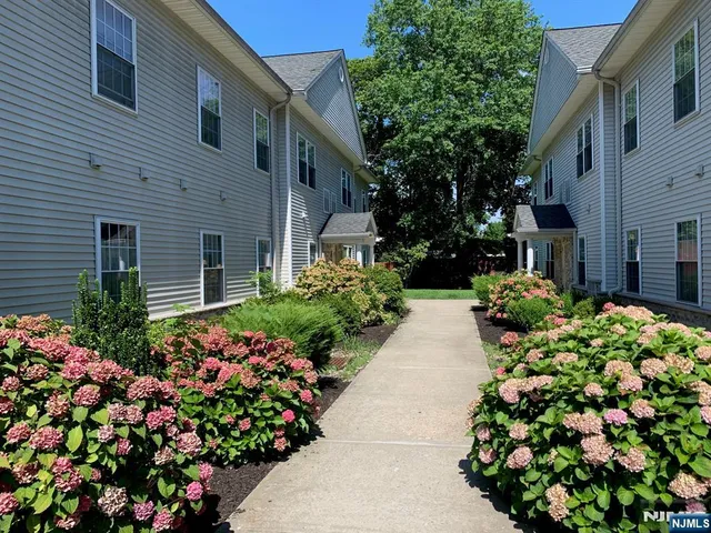 a view of a garden with flowers and flowers