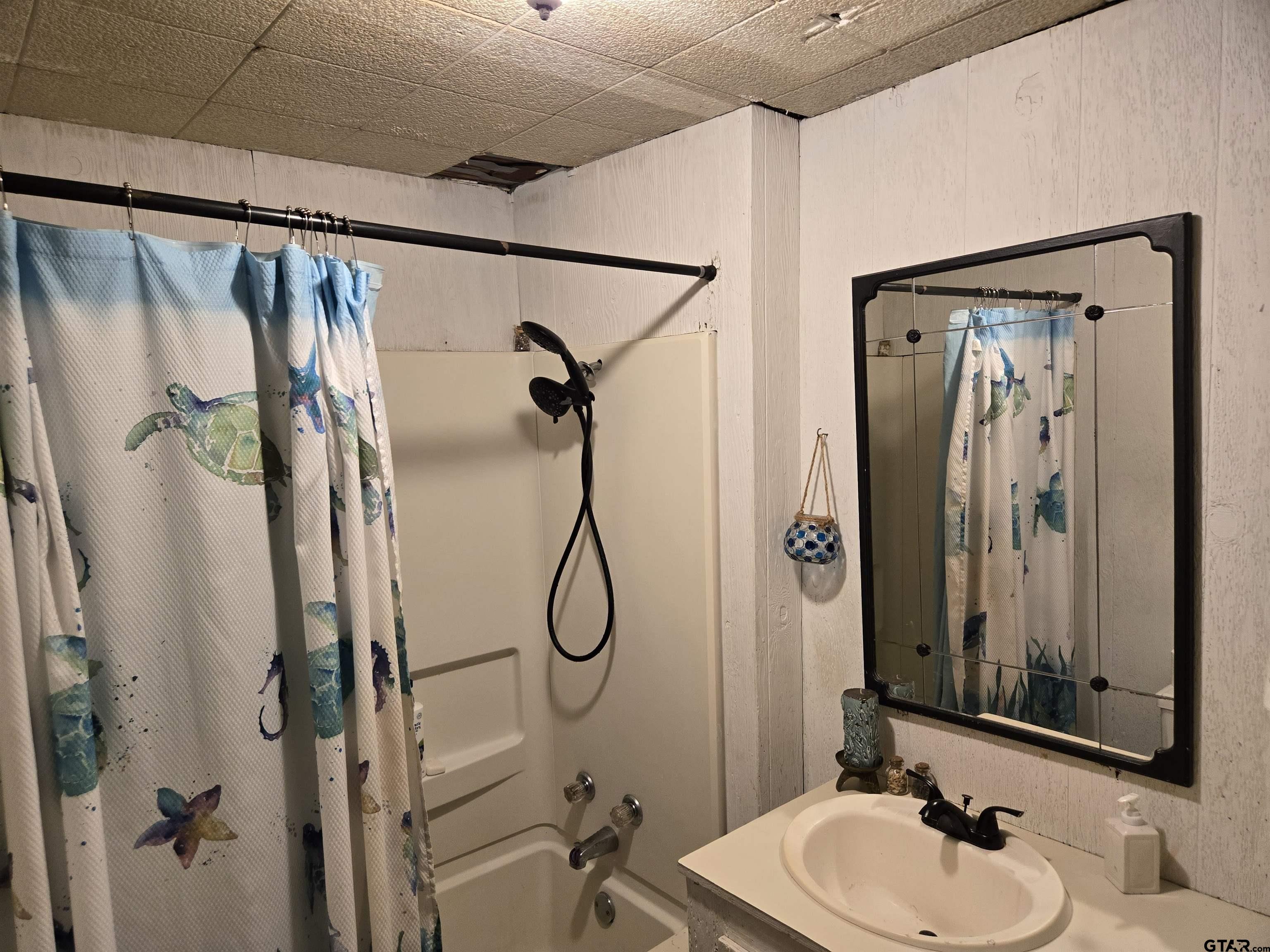 151 Joplin Rusk, TX 75785 - Photo 6 of 17 a bathroom with a sink a mirror a shower and a mirror