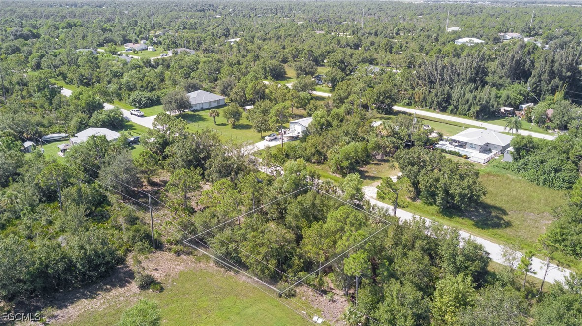 11356 4th Avenue Punta Gorda, FL 33955 - Photo 1 of 9 a view of a forest with a houses