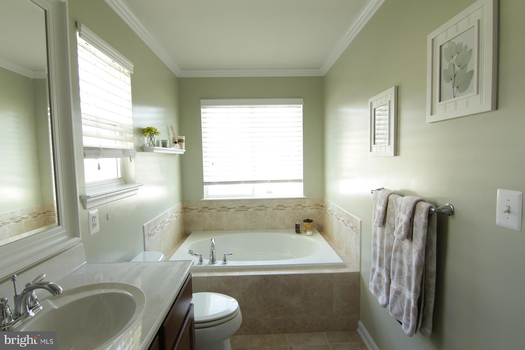 2651 Shade Branch Road Hanover, MD 21076 - Photo 10 of 30 a bathroom with a granite countertop sink and a bathtub