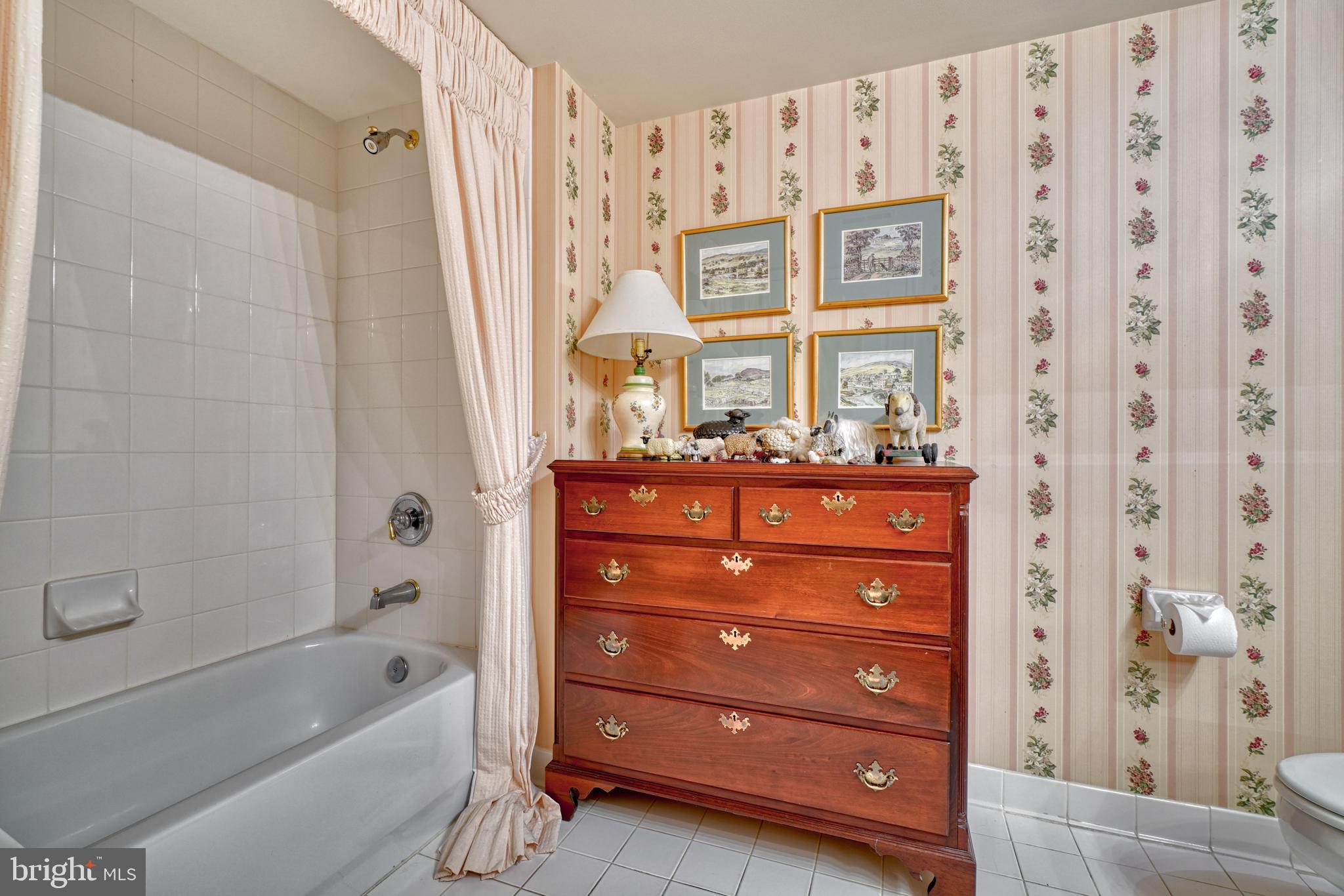 12320 Rosslare Ridge Road, Unit 206 Lutherville-Timonium, MD 21093 - Photo 24 of 28 Separate tub