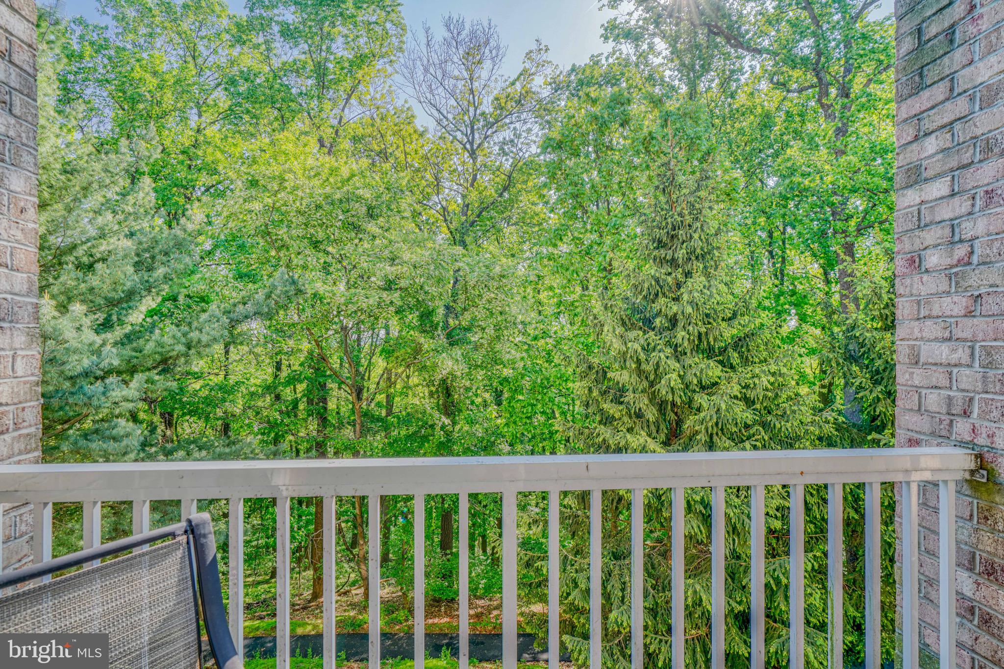 12320 Rosslare Ridge Road, Unit 206 Lutherville-Timonium, MD 21093 - Photo 28 of 28 View from balcony facing woods