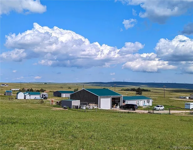 a front view of house with a garden