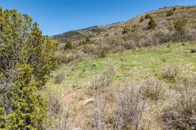 501 Splendor Valley Road, Unit 81/82 Kamas, UT 84036 - Photo 16 of 26