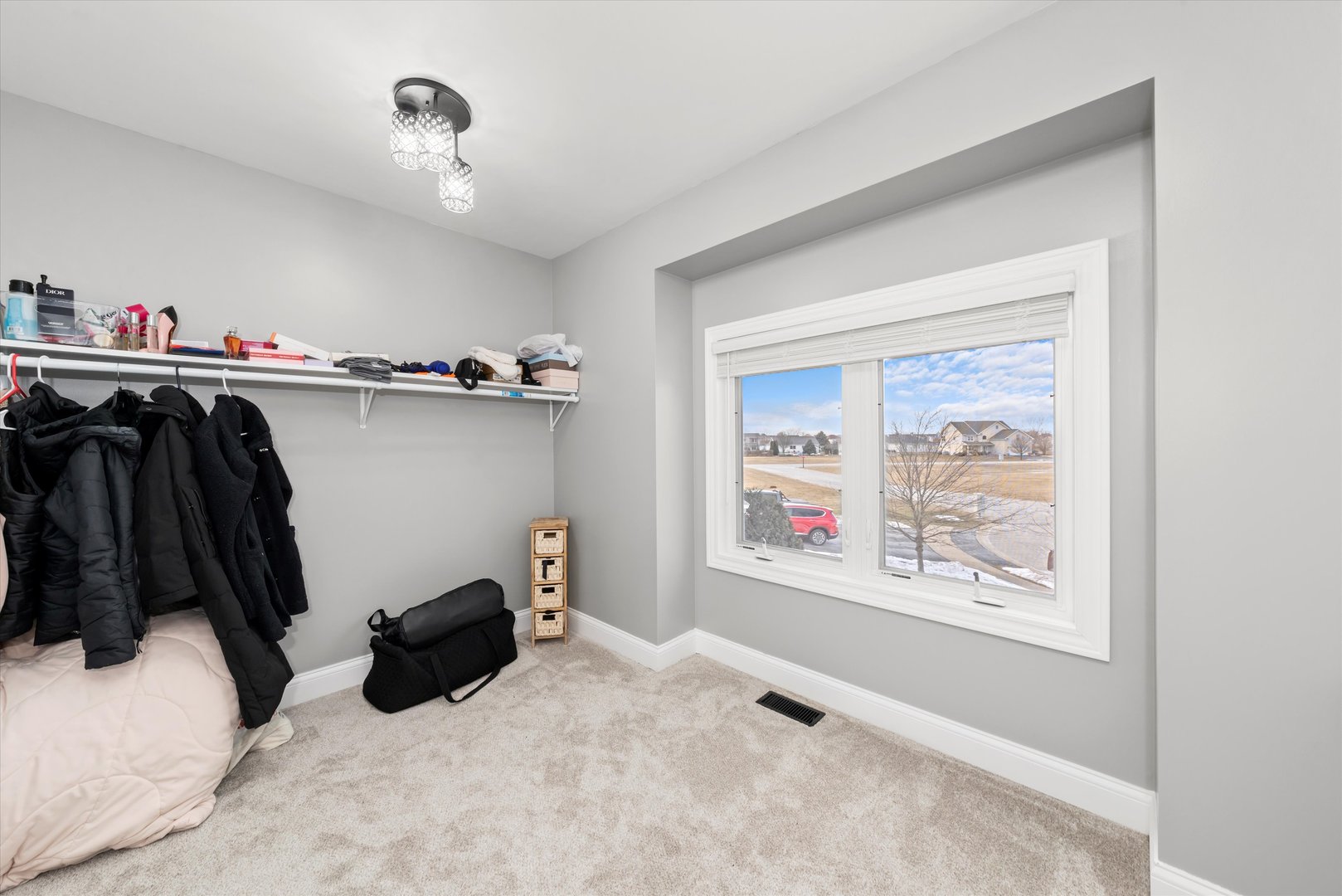 110 Sky View Lane Beecher, IL 60401 - Photo 28 of 53 a view of walk in closet with clothes and shoes