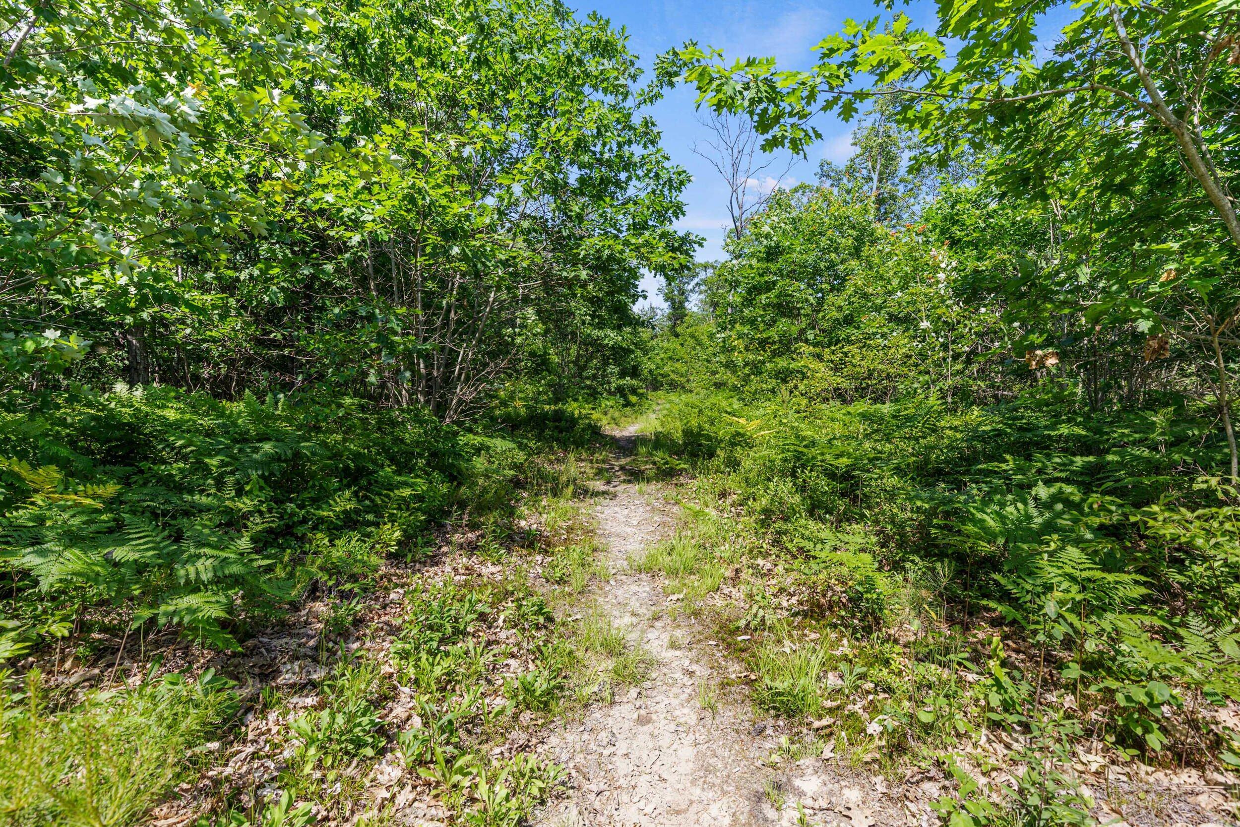 295 Buxton Road Saco, ME 04072 - Photo 31 of 50 295 buxton rd, saco_13
