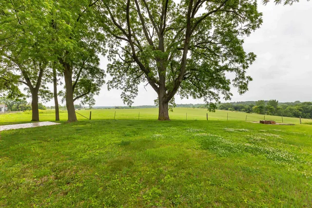 a view of field with trees