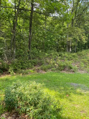 $14,000 | 86 D Lookout Point Road, Canadensis, PA 18325