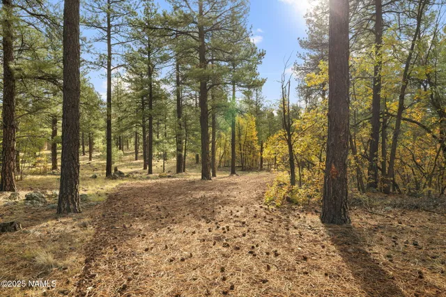 $499,900 | 20332001 H East Aspen Drive, Flagstaff, AZ 86005