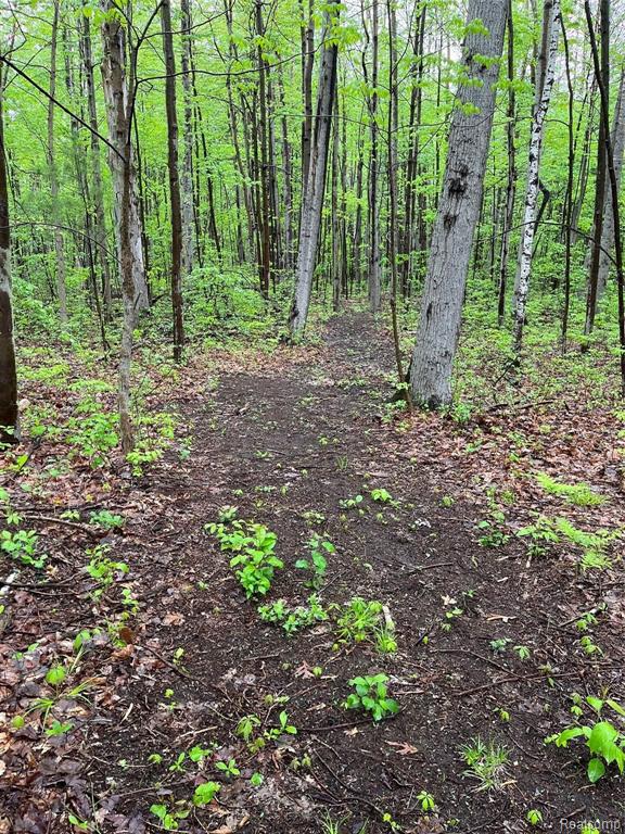 3682 Hanes Road Vassar, MI 48768 - Photo 6 of 30