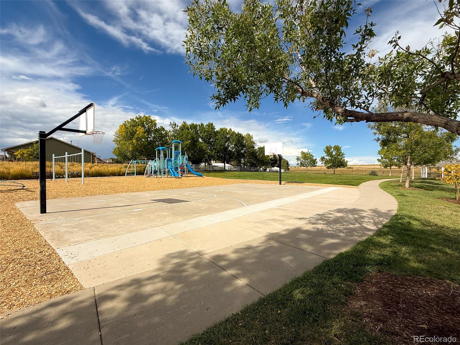 3757 Settler Ridge Drive Mead, CO 80542 - Photo 29 of 33