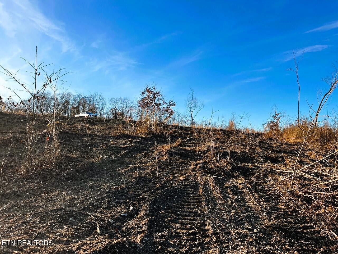 1667 Euchee Road Ten Mile, TN 37880 - Photo 16 of 25