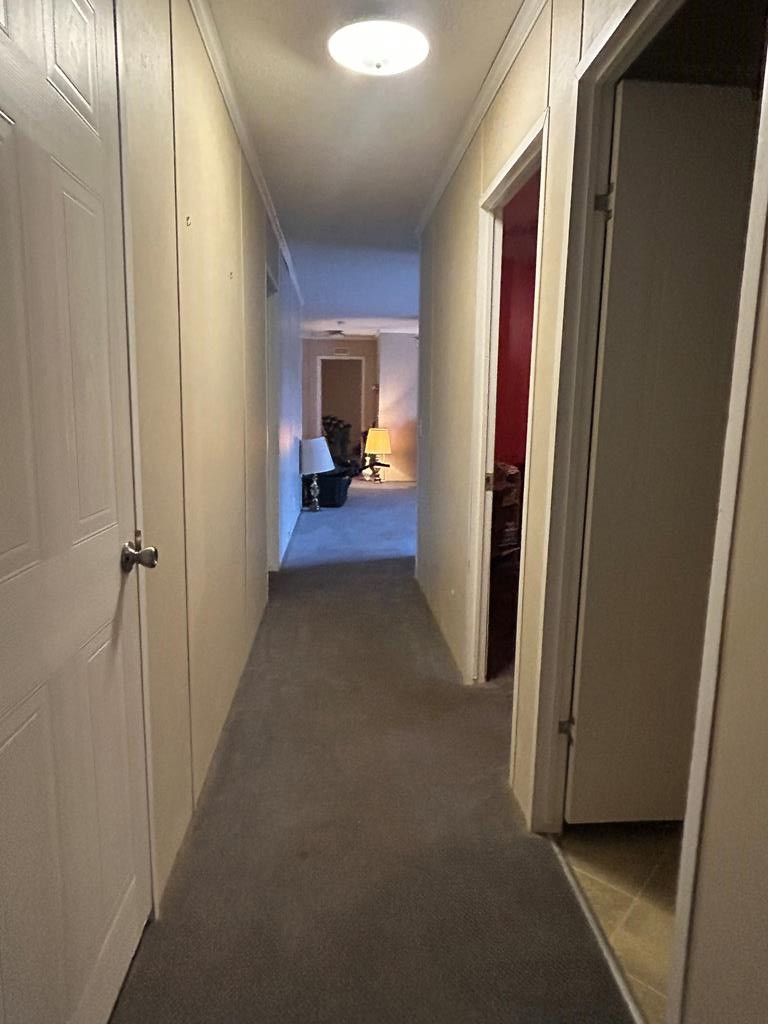 1301 Furnie Folks Road Webb, AL 36376 - Photo 9 of 26