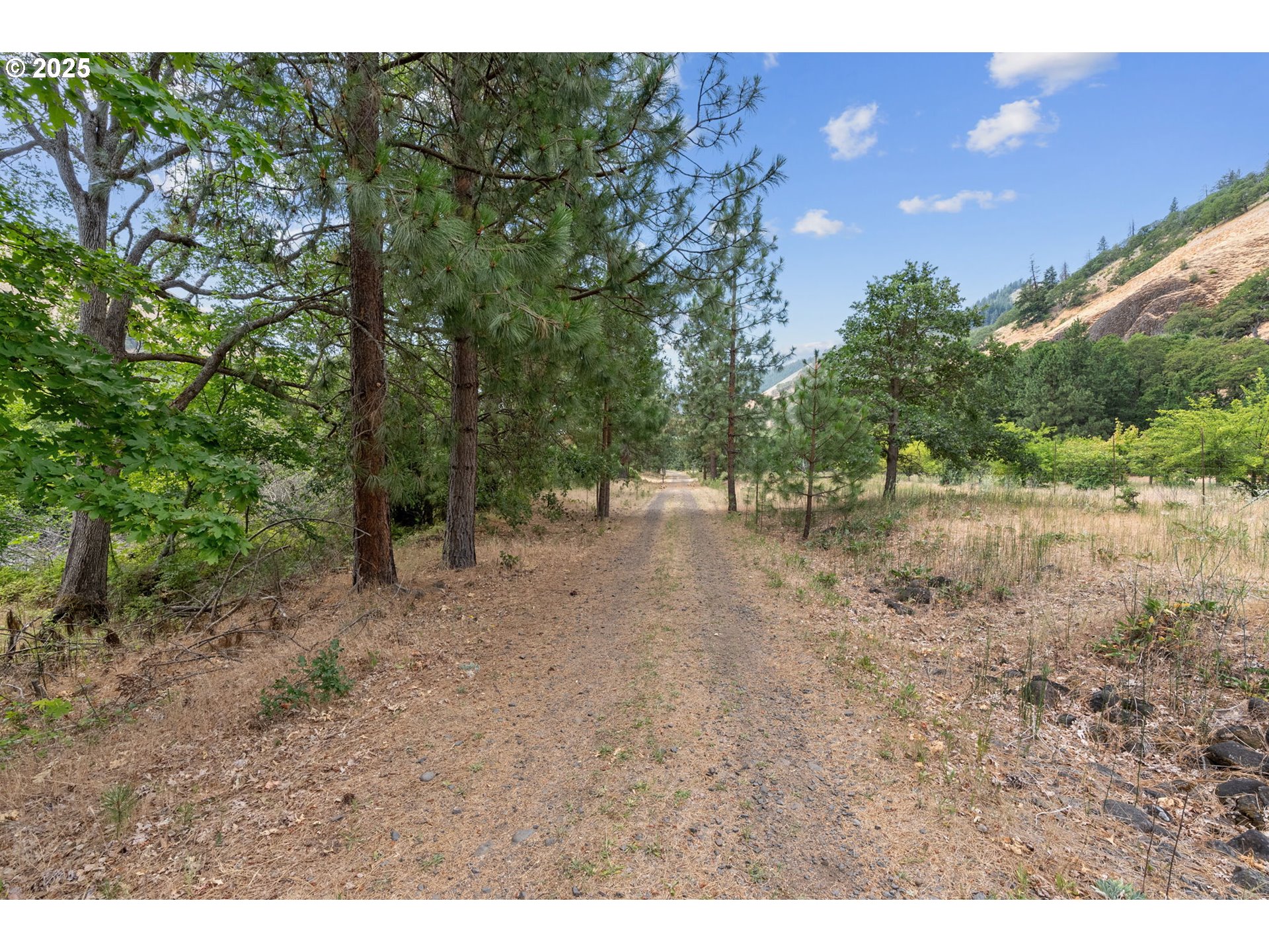 60 Fishon Road Lyle, WA 98635 - Photo 24 of 34 Gallery Image 24