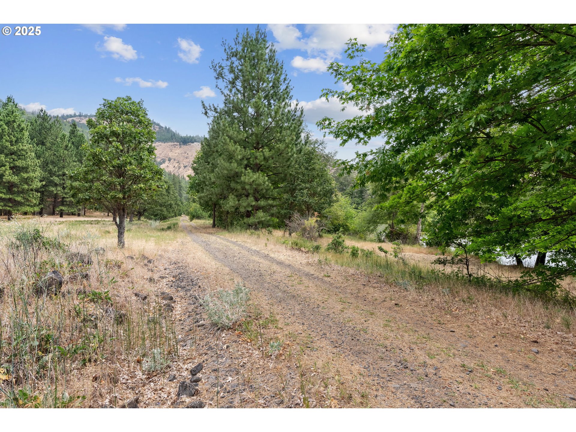 60 Fishon Road Lyle, WA 98635 - Photo 25 of 34 Gallery Image 25