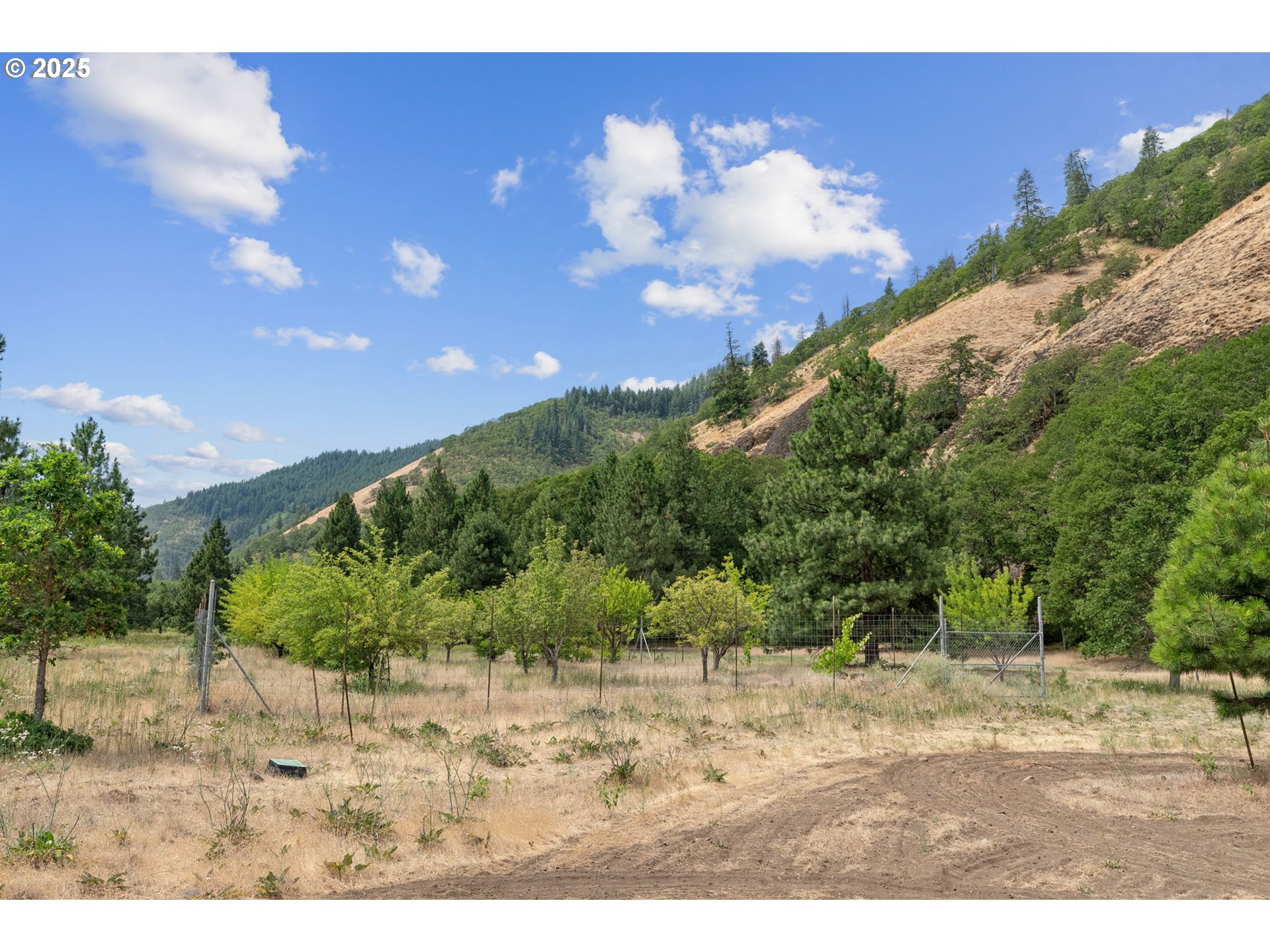 60 Fishon Road Lyle, WA 98635 - Photo 27 of 34 Garden
