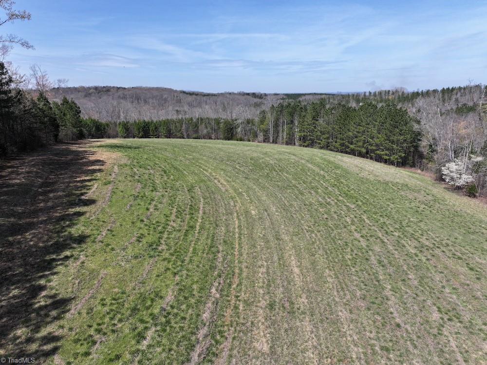 508 New Lebanon Church Road Reidsville, NC 27320 - Photo 18 of 35