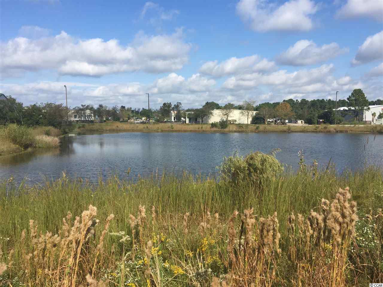 225 Labonte Street Conway, SC 29526 - Photo 14 of 15 Gallery Image 14