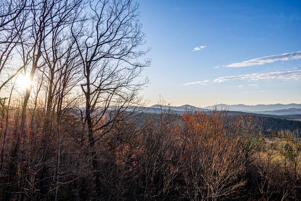 268 Oak Ledge Road Morganton, GA 30560 - Photo 20 of 40