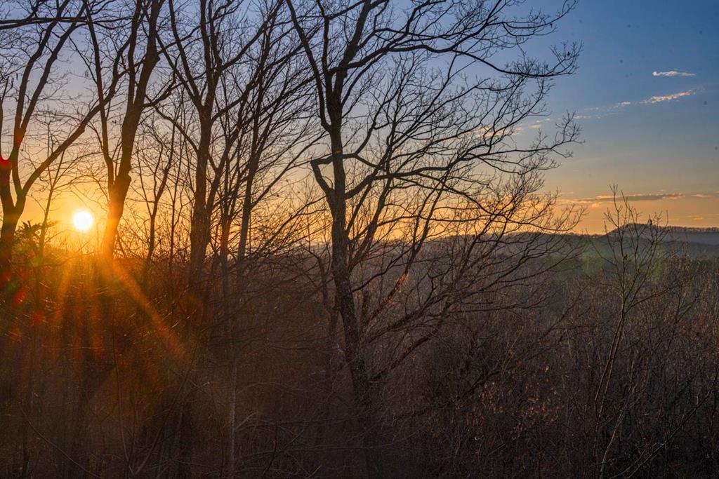 268 Oak Ledge Road Morganton, GA 30560 - Photo 3 of 40