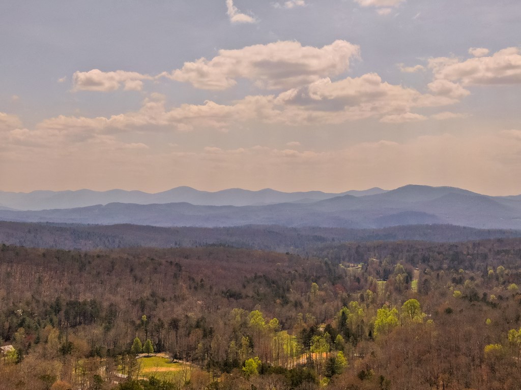 268 Oak Ledge Road Morganton, GA 30560 - Photo 4 of 40