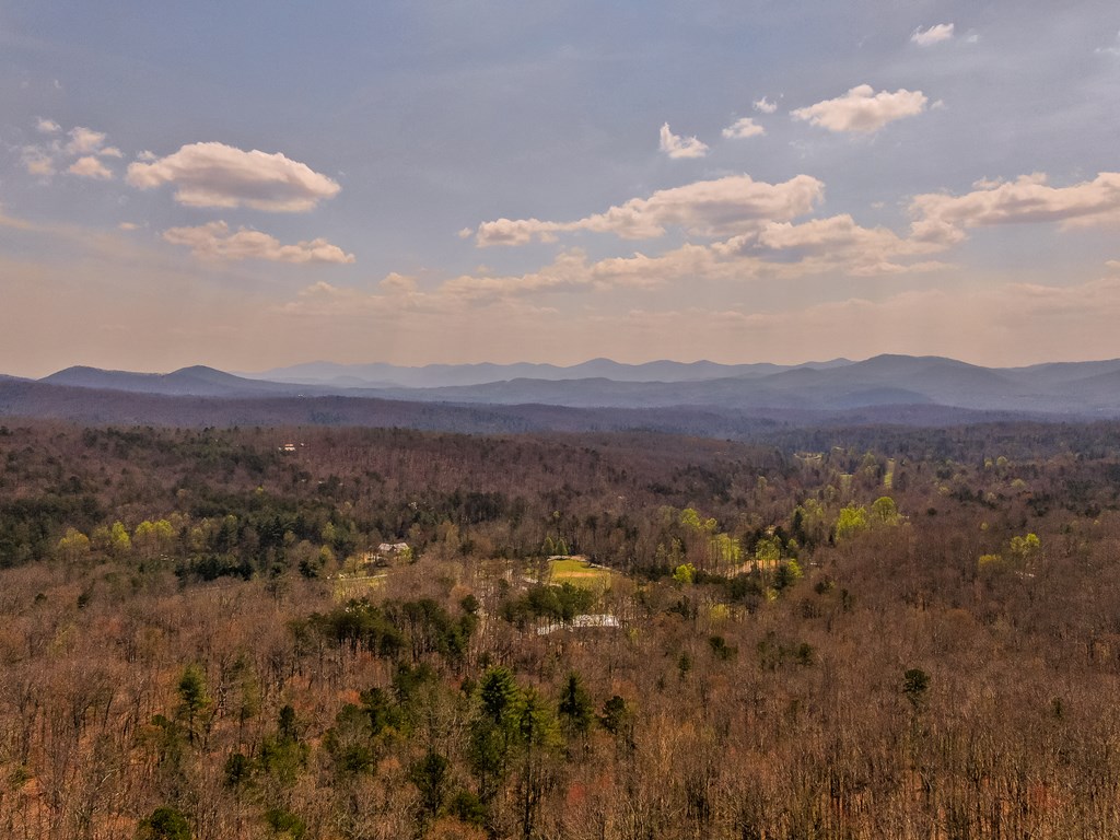 268 Oak Ledge Road Morganton, GA 30560 - Photo 6 of 40