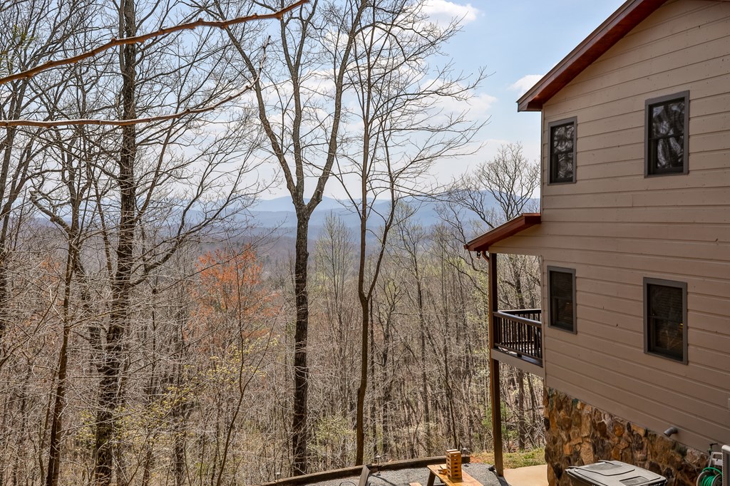 268 Oak Ledge Road Morganton, GA 30560 - Photo 8 of 40