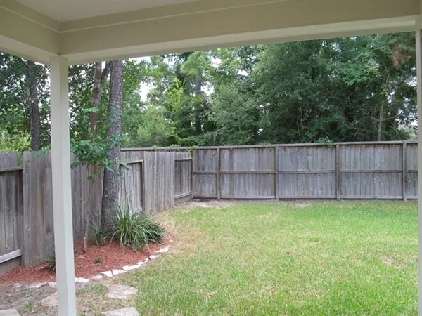 a view of a yard with large trees and plants