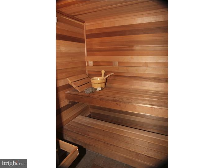 2619 Wayland Road Berwyn, PA 19312 - Photo 21 of 25 Sauna