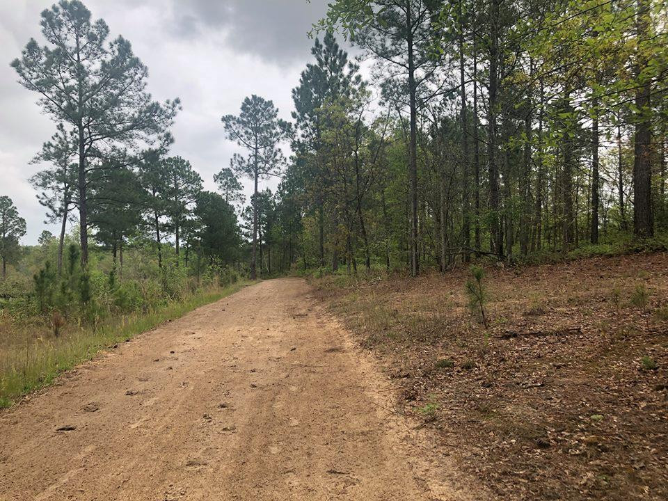 0 Rembert Place Aiken, SC 29803 - Photo 13 of 13