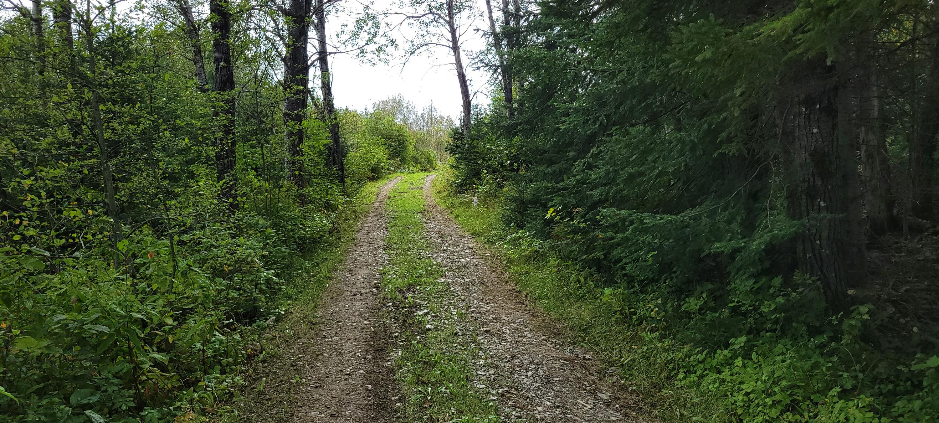 23 Map Road Grand Isle, ME 04746 - Photo 41 of 50 20230910_131710