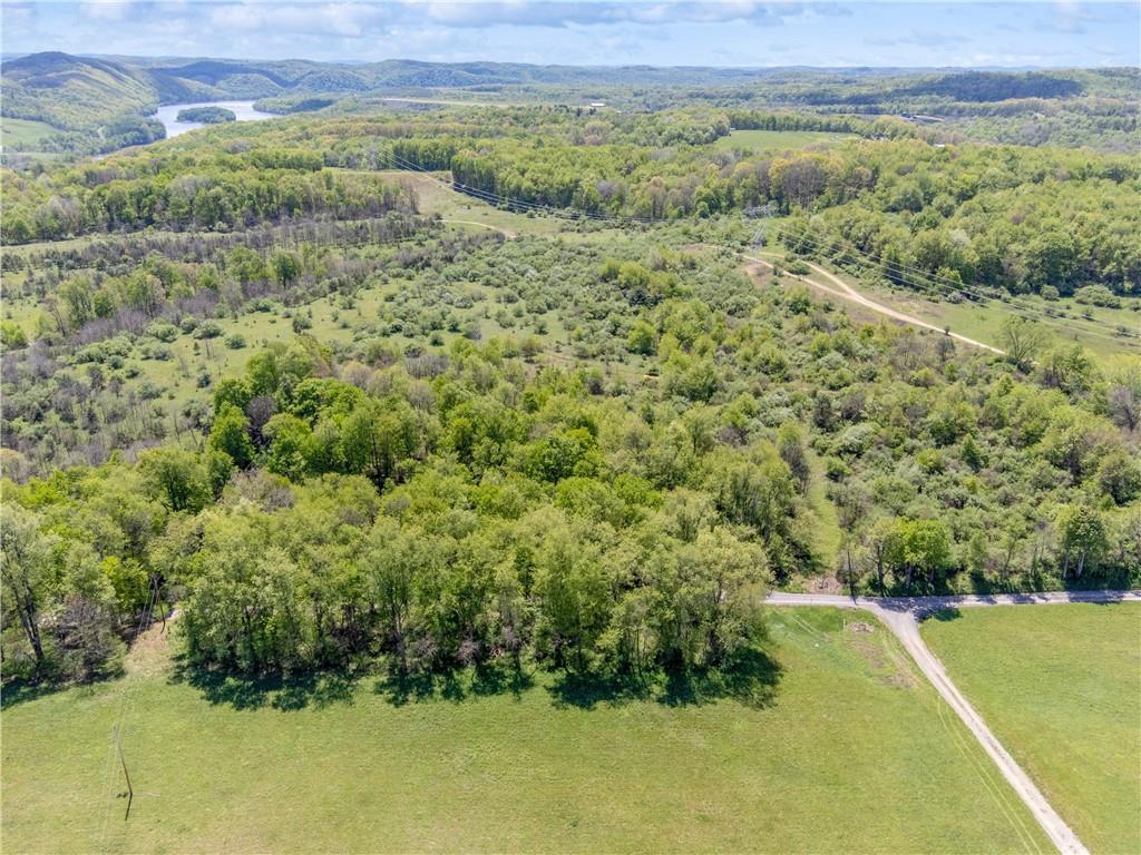 242 Walker Road Freeport, PA 16229 - Photo 19 of 21 a view of a lush green forest with a lake