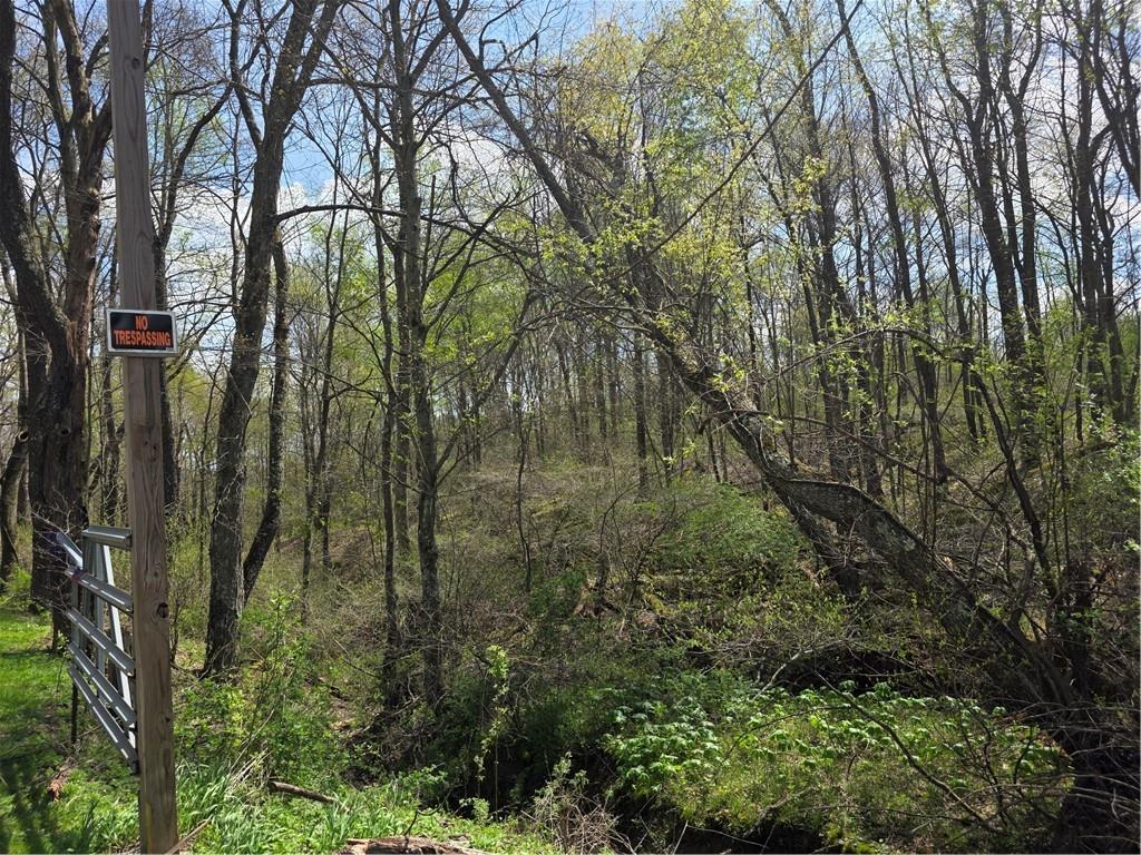 242 Walker Road Freeport, PA 16229 - Photo 2 of 6