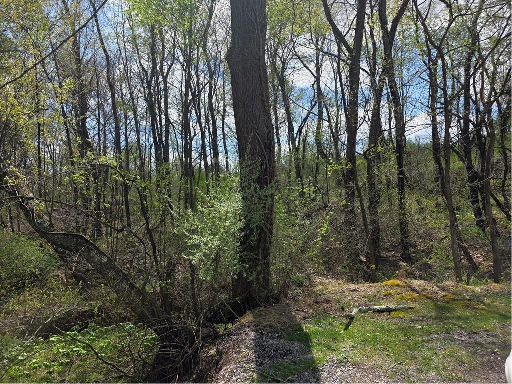 242 Walker Road Freeport, PA 16229 - Photo 3 of 6