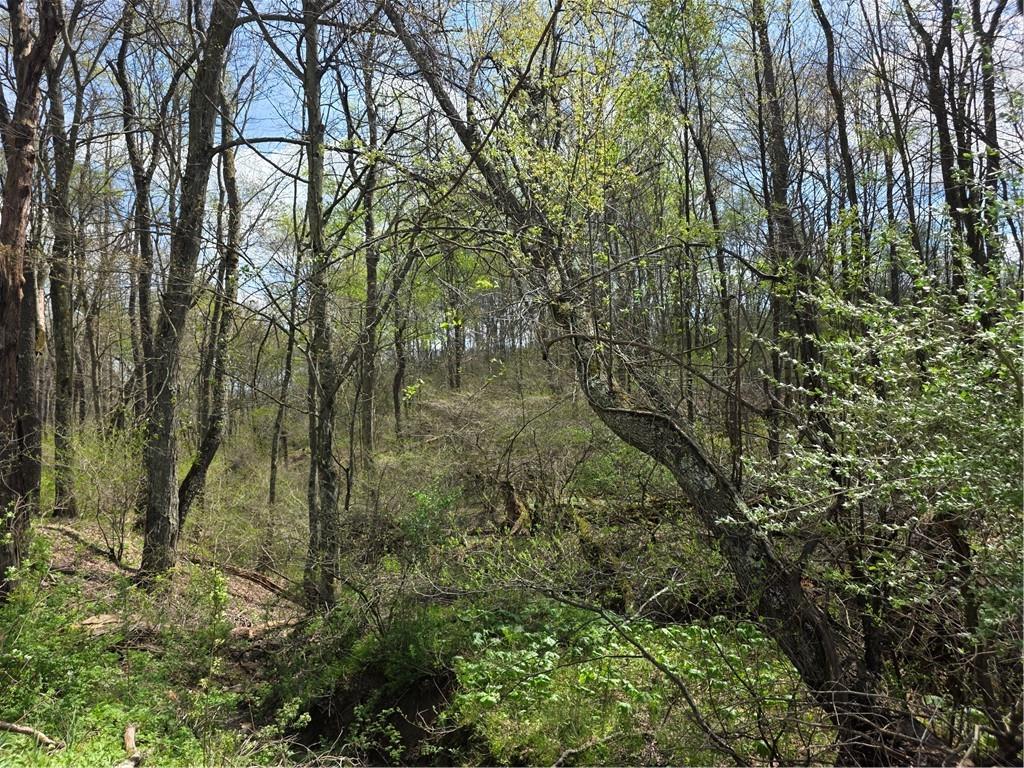 242 Walker Road Freeport, PA 16229 - Photo 4 of 6