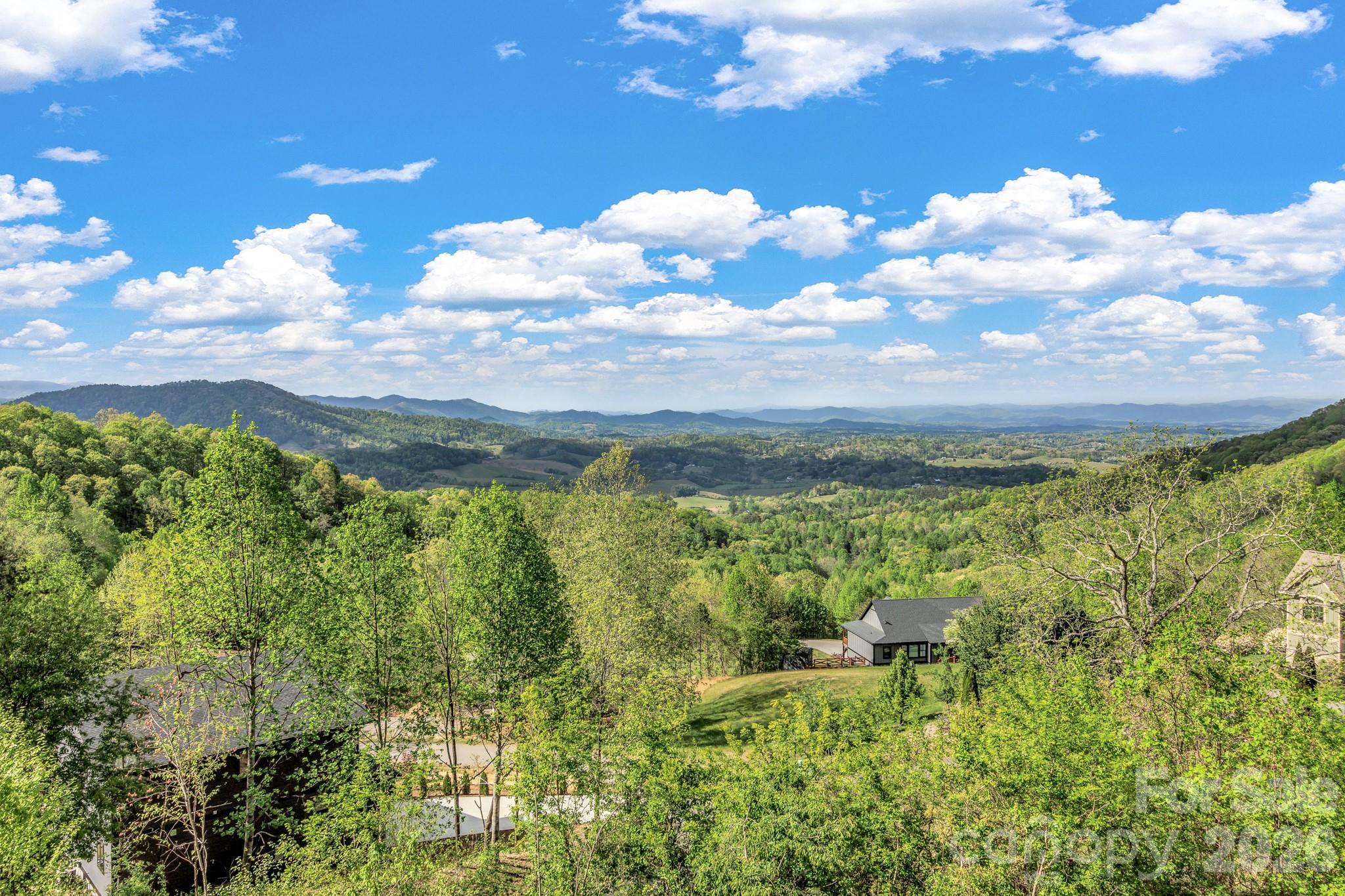 134 View Ridge Parkway Leicester, NC 28748 - Photo 44 of 48