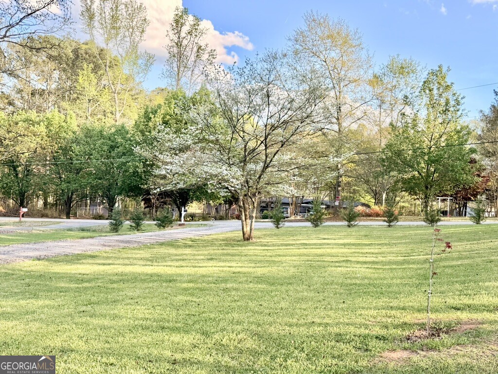 94 Country Place Temple, GA 30179 - Photo 4 of 36 a big yard with lots of green space and trees in the background