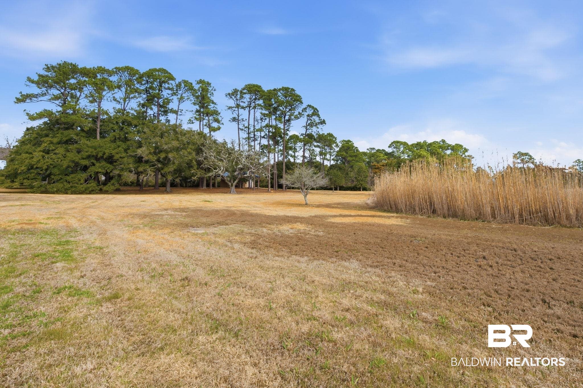 15025 Bellingrath Road Coden, AL 36523 - Photo 18 of 79 View of green lawn