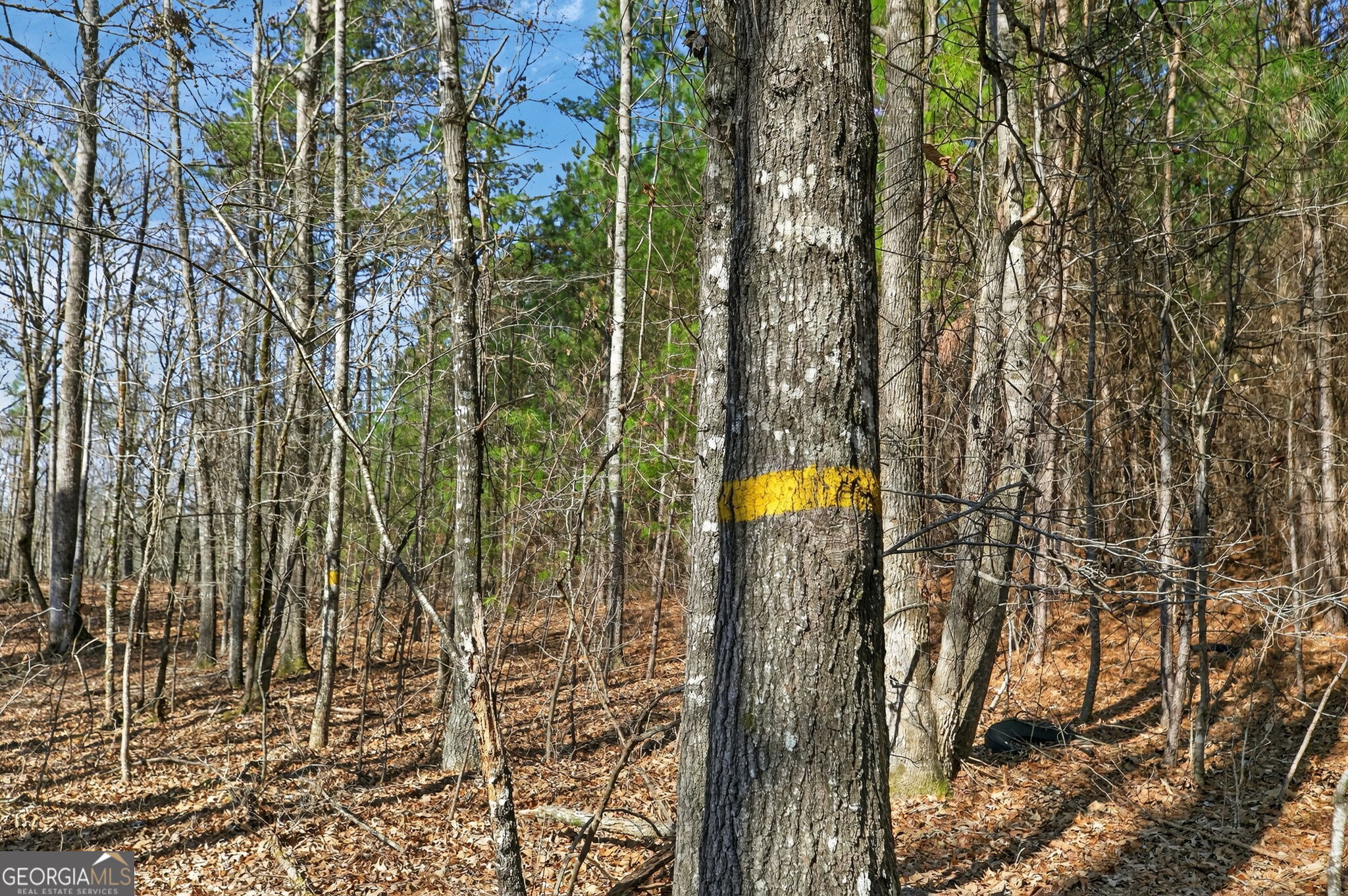 5010 Highway 27 Franklin, GA 30217 - Photo 23 of 39